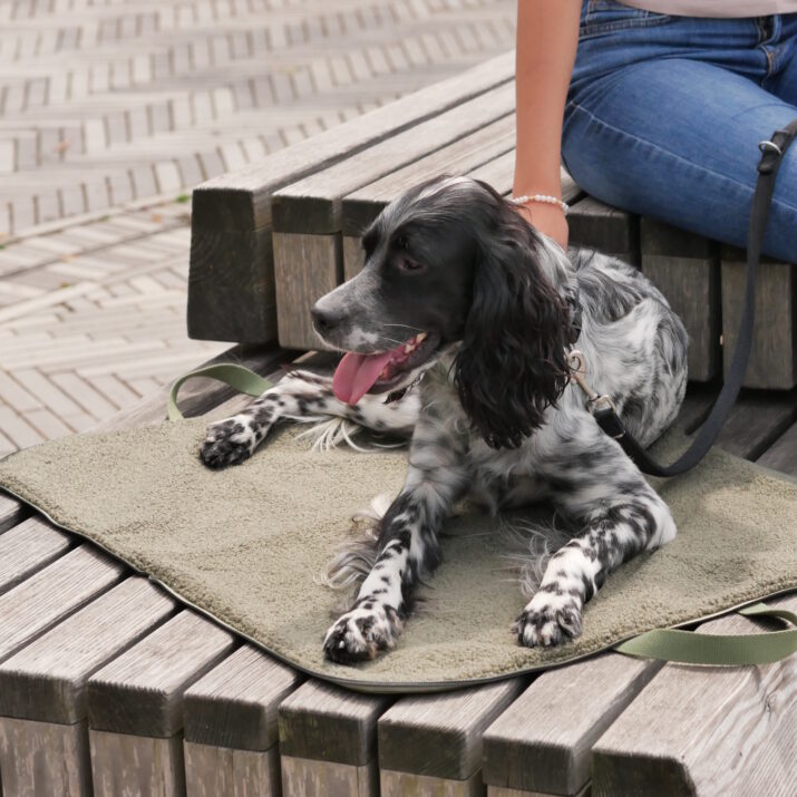 2-in-1-Hundedecke und Tragetasche nähen – Nähanleitung kostenlos